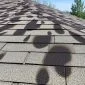 Dark Streaks on My Roof 85x85